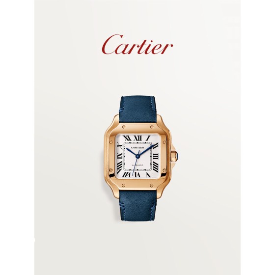 Cartier Santos de Cartier watch